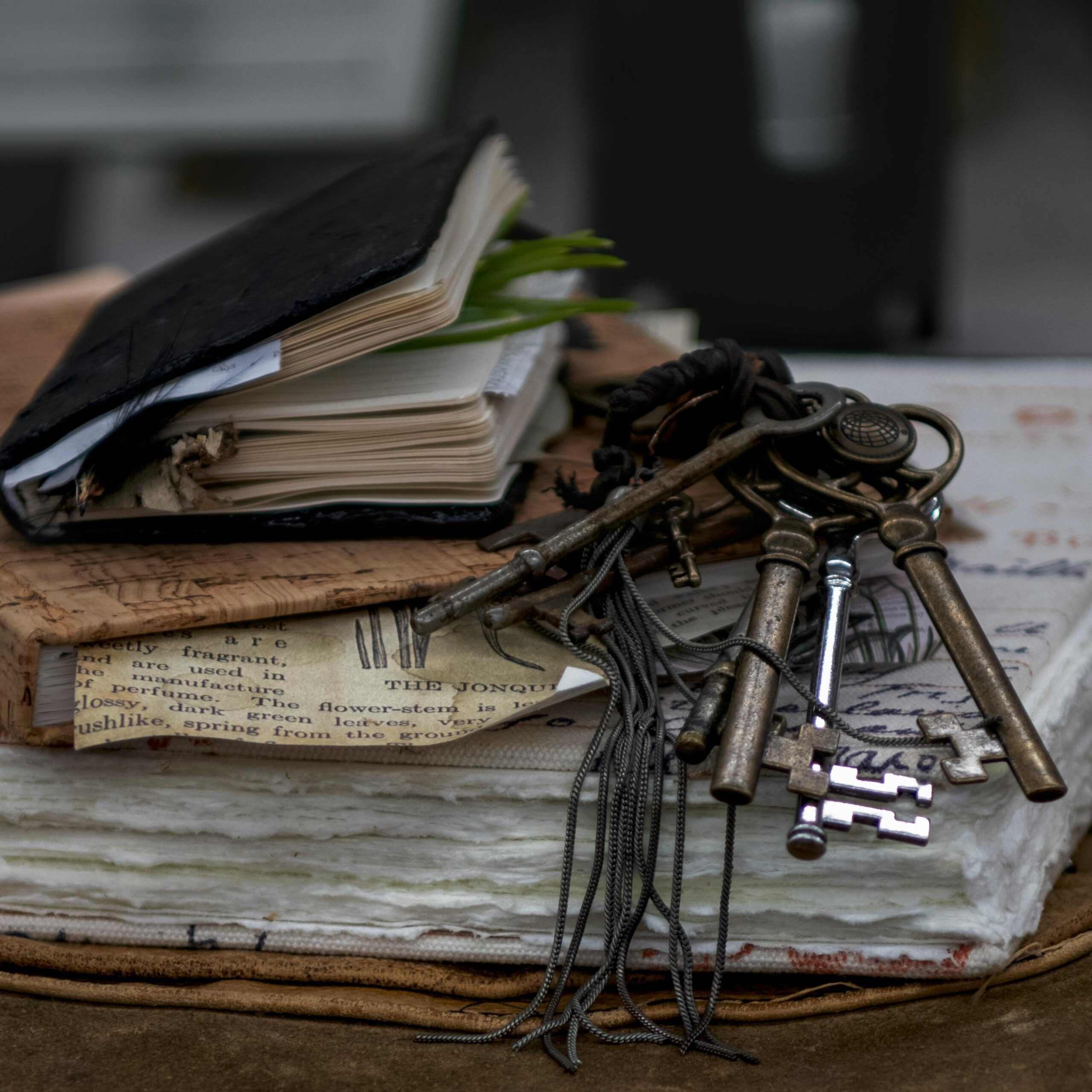  Your Brain Has 2.5 Million GB of Storage—So Why Can’t You Remember Where You Put Your Keys?